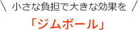 小さな負担で大きな効果を「ジムボール」